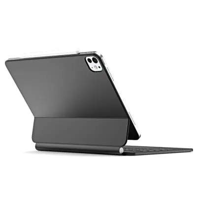 Dux Ducis iPad Pro 11