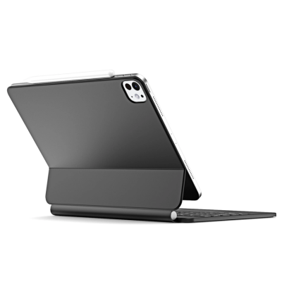 Dux Ducis iPad Pro 11