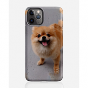 Designer skal till Apple iPhone 11 Pro Max - Pat2502