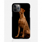 Designer skal till Apple iPhone 11 Pro - Pat2476