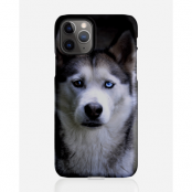 Designer skal till Apple iPhone 11 Pro - Pat2481