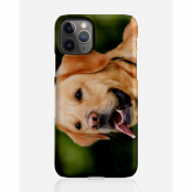 Designer skal till Apple iPhone 11 Pro - Pat2494