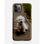 Designer skal till Apple iPhone 11 Pro - Pat2498