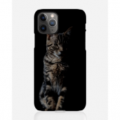 Designer skal till Apple iPhone 11 Pro - Pat2541