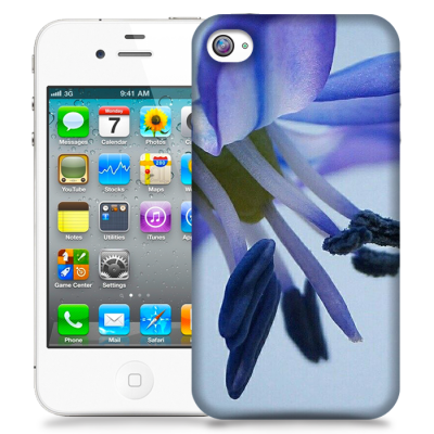 Skal till Apple iPhone 4S - Blåstjärna