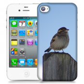 Skal till Apple iPhone 4S - Gråsparv