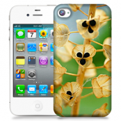 Skal till Apple iPhone 4S - Pärlhyacint