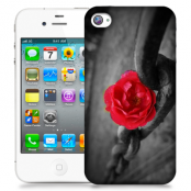 Skal till Apple iPhone 4S - Röd ros