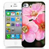 Skal till Apple iPhone 4S - Rosa blommor