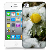 Skal till Apple iPhone 4S - Vinterblomma