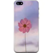 Mobilskal till Apple iPhone 5 med Rosa blomma