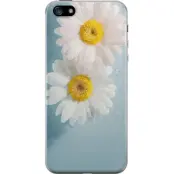 Mobilskal till Apple iPhone 5 med Sommarblommor