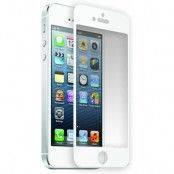 STK Glaze Tempered Shield till Apple iPhone 5/5S/SE