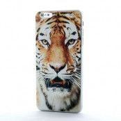 BaksideSkal till Apple iPhone 6(S) Plus - Tiger Head