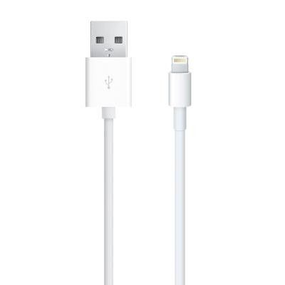 Apple Lightning To Usb Cable 1M