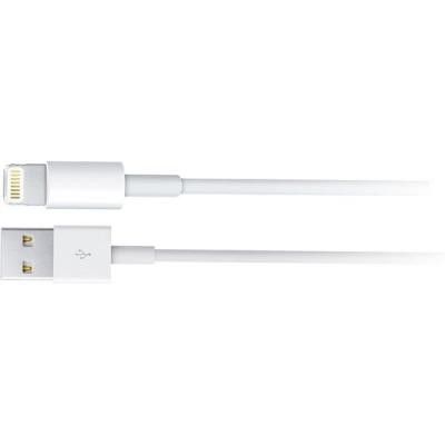 Apple Lightning USB kabel, 0,5m, MFi, vit Apple Lightning USB kabel, 0,5m, MFi, vit