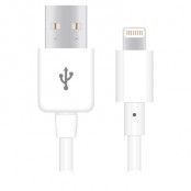 Naztech Apple Certified Lightning 8-Pin Charge and Sync Cable - (Vit)